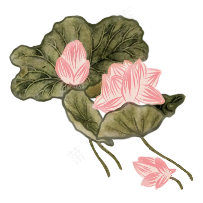 中国风荷花水墨画(2000X2000(DPI:300))psd模版下载