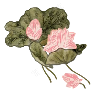 中国风荷花水墨画