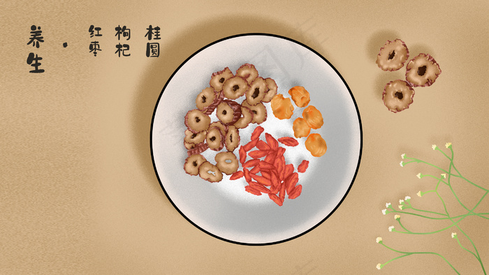 养生红枣枸杞桂圆