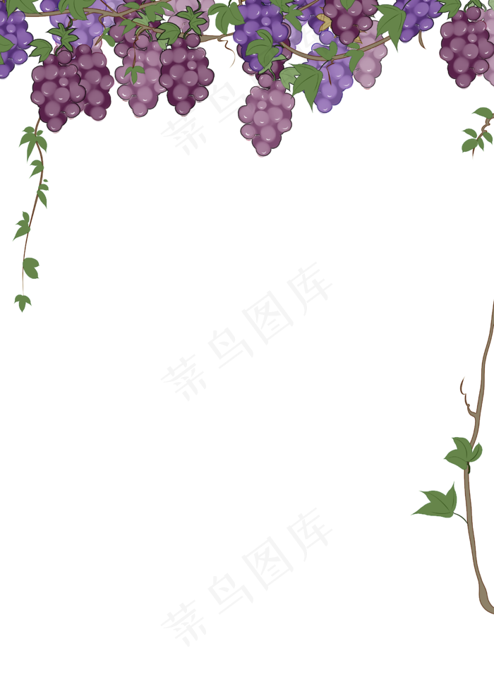 葡萄边框(2480X3508(DPI:299))psd模版下载