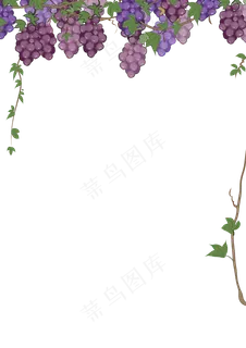 葡萄边框