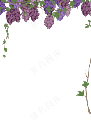 葡萄边框