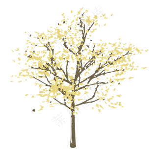 漂亮的大树免抠图