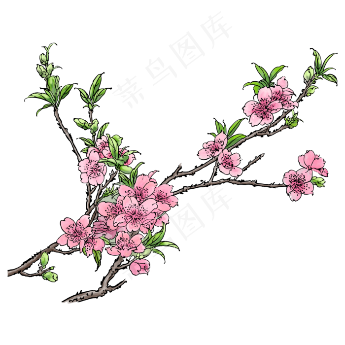 春天粉色手绘水彩风格桃花树枝(2000X2000(DPI:300))psd模版下载