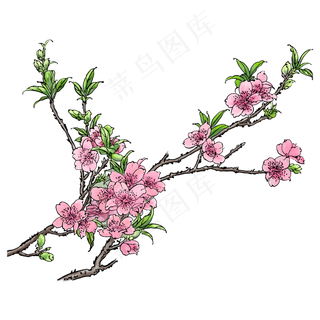 春天粉色手绘水彩风格桃花树枝