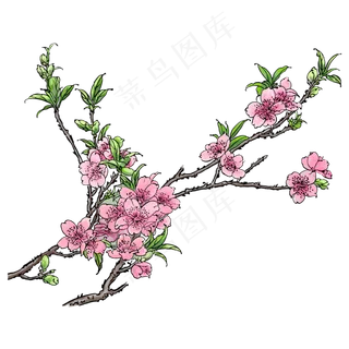 春天粉色手绘水彩风格桃花树枝