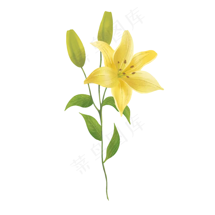 黄色杜鹃花(2000X2000(DPI:300))psd模版下载