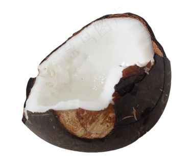 黑棕色美味椰子