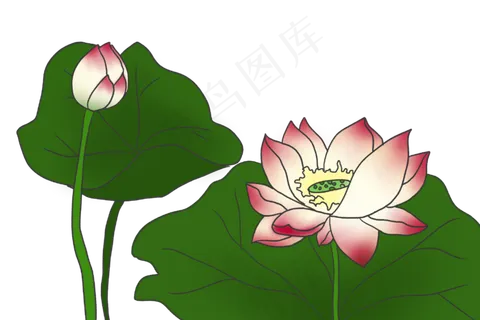 立体花朵花瓣插图