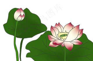 立体花朵花瓣插图