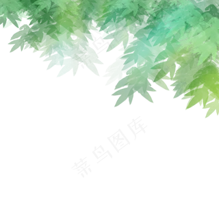 绿色的植物叶子 绿色的植物叶子
