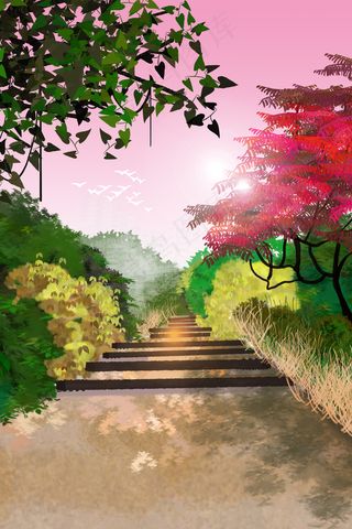 夏天黄昏花园小路风景