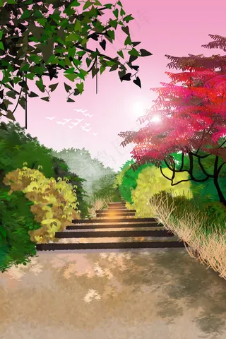 夏天黄昏花园小路风景