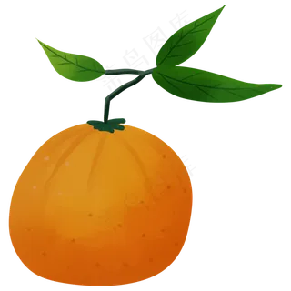 桔子维生素卡通装饰叶子橘色