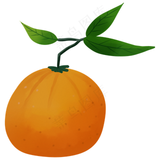 桔子维生素卡通装饰叶子橘色