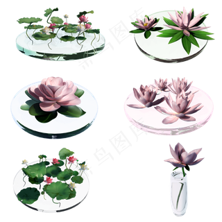 立体荷叶荷花套图png图