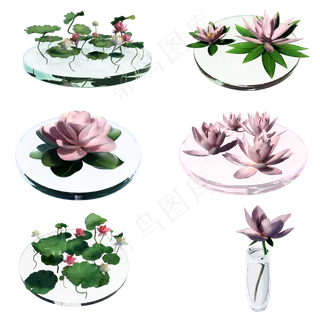 立体荷叶荷花套图png图