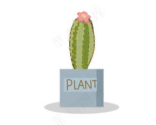 手绘植物盆栽仙人掌,免抠元素