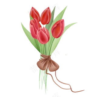 红色郁金香捆扎花束