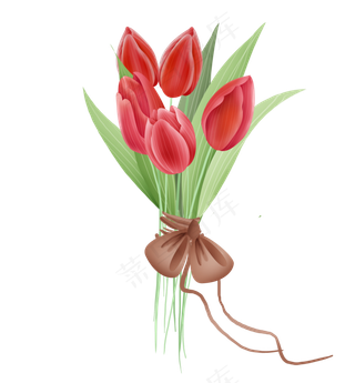 红色郁金香捆扎花束
