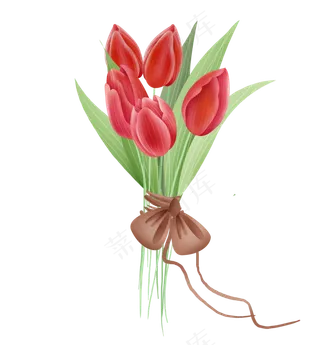 红色郁金香捆扎花束