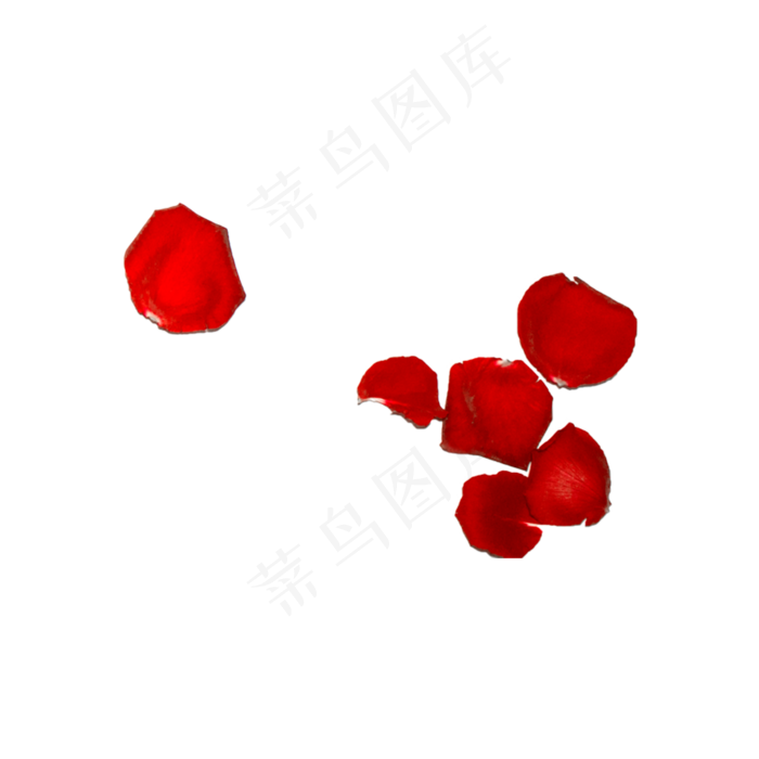玫瑰花瓣（png免抠）(2000X2000(DPI:72))psd模版下载