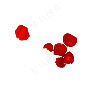 玫瑰花瓣（png免抠）
