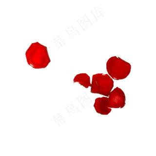 玫瑰花瓣（png免抠）