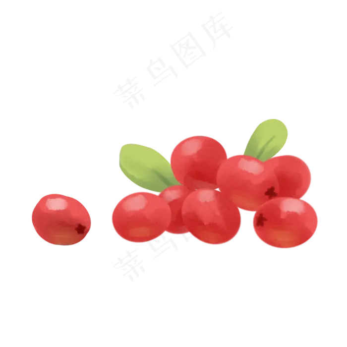 手绘红色水彩风蔓越莓矢量(1000X1000(DPI:300))psd模版下载