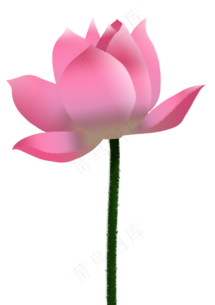 中国风粉色荷花免抠PNG高清素材(3508X4961(DPI:300))psd模版下载