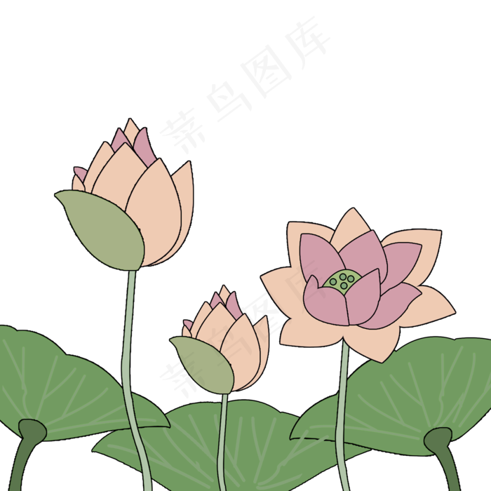 简约创意可爱卡通手绘荷花(2000X2000(DPI:300))psd模版下载