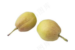 两个绿色美味的香梨