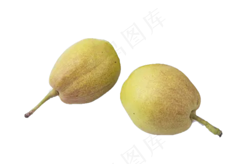 两个绿色美味的香梨 两个绿色美味的香梨
