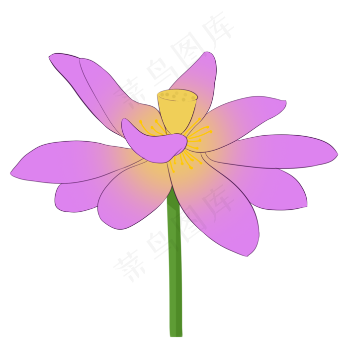 唯美鲜花荷花插画