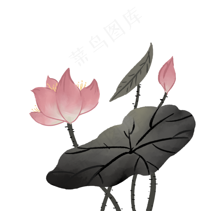 水墨荷花手绘插画