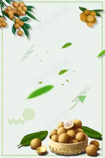 简约水果美味桂圆