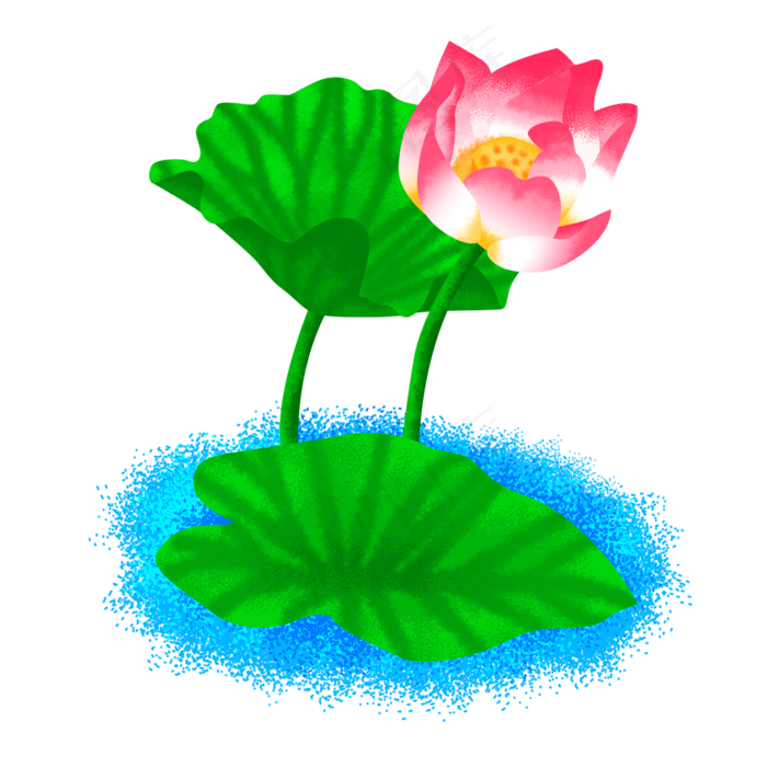 粉色的荷花(2000X2000(DPI:300))psd模版下载