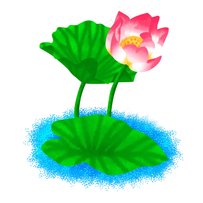 粉色的荷花(2000X2000(DPI:300))psd模版下载