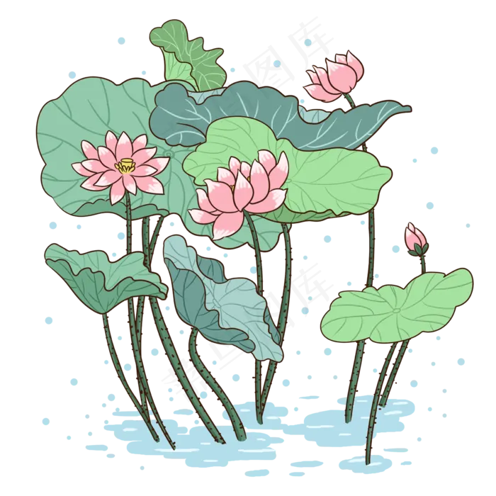 荷花手绘PNG免抠图(2400X2400(DPI:300))psd模版下载