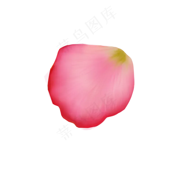 卡通手绘美丽的花瓣(2000X2000(DPI:300))psd模版下载