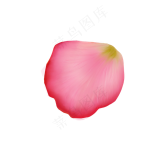 卡通手绘美丽的花瓣