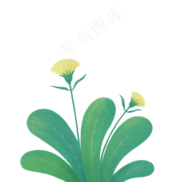 手绘绿色植物绿叶花朵小草,免抠元素