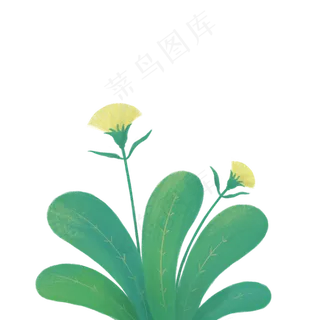 手绘绿色植物绿叶花朵小草,免抠元素