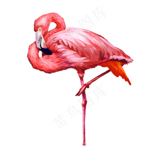卡通红色的火烈鸟免抠图