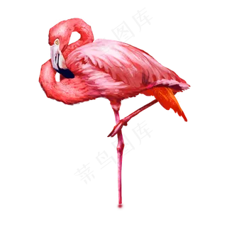 卡通红色的火烈鸟免抠图
