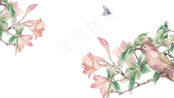 粉红兰花百合花工笔花鸟复古国风,免抠元素 粉红兰花百合花工笔花鸟复古国风,免抠元素