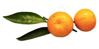新鲜水果橘子