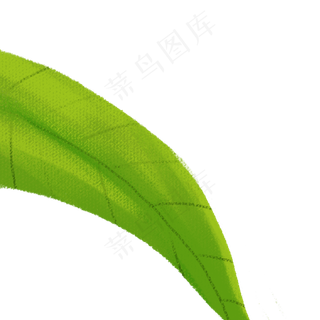 卡通绿叶PNG下载