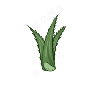 可爱绿色小植物芦荟盆栽素材