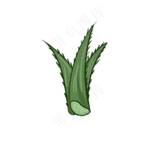 可爱绿色小植物芦荟盆栽素材